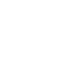 Lotus Icon 1